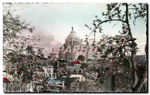 Cartes postales Lisieux Vue Sur La Basilique