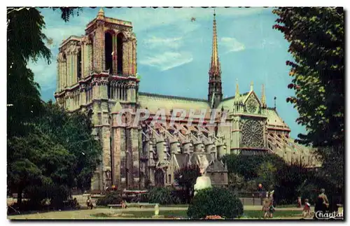Cartes postales Paris Notre Dame et le square Viviani
