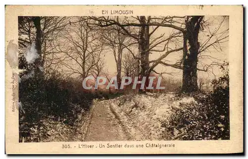 Ansichtskarte AK En Limousin L&#39Hiver Un Sentler dans une Chataigneraie