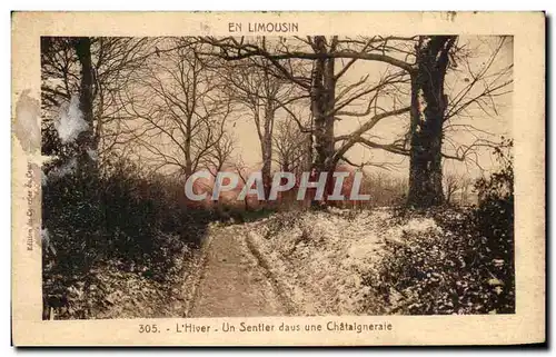Cartes postales En Limousin L&#39Hiver Un Sentler dans une Chataigneraie