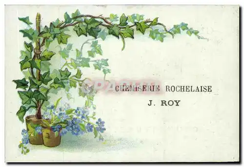 Chromo J Roy la Rochelle chemiserie