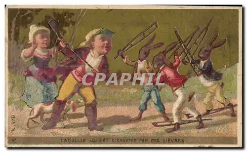 Chromo Pontvert la Rochelle Lievres lapins