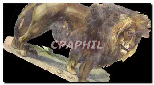 Chromo Lion Chocolat louit