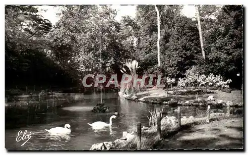 Ansichtskarte AK La Rochelle La Riviere Dans Les Parcs Cygne