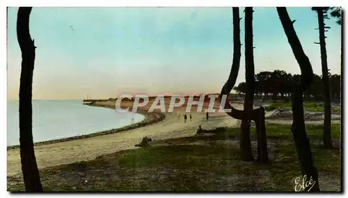 Cartes postales Ile D&#39Oleron La Plage de Boyardville Le Bois