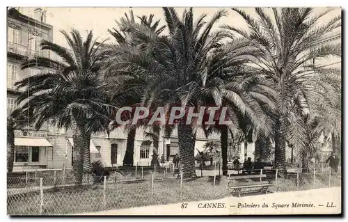 Ansichtskarte AK Cannes Palmiers du Square Merimee