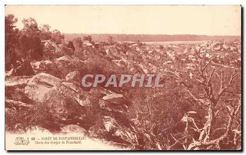 Cartes postales Foret De Fontainebleau Chaos des gorges de Franchard