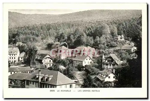 Cartes postales Le Hohwald Les Grandes Hotels