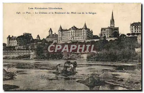 Cartes postales Pau Le Chateau et Le Boulevard du Midi Vue de la Saligue