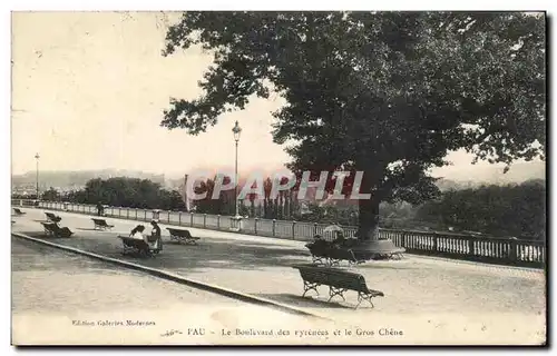 Ansichtskarte AK Pau Le Boulevard des Pyrenees et le Gros Chene