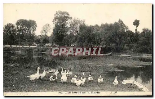 Cartes postales Les Bords De La Marne Oies d&#39elevage