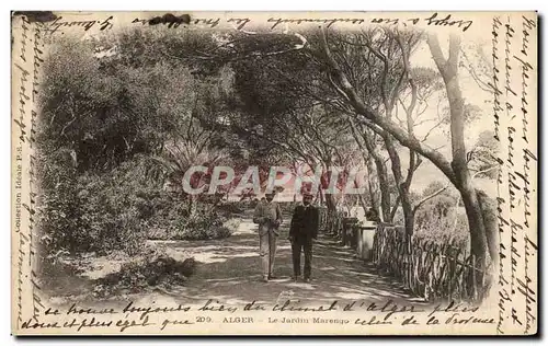 Cartes postales Alger Le Jardin Marengo Algerie