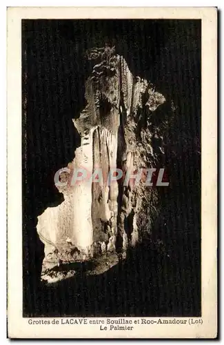 Cartes postales Grottes de Lacave entre Souillac et Rocamadour Le palmier