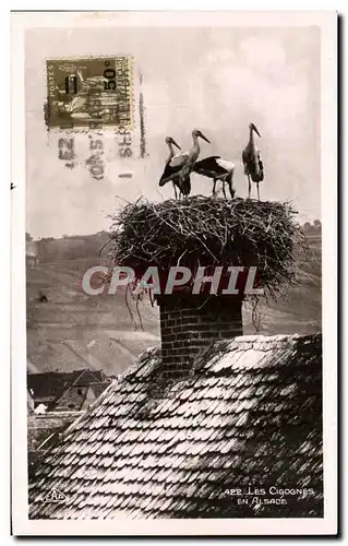 Cartes postales Les Cigognes En alsace