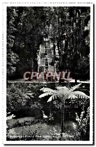 Cartes postales Bussaco Fonte Fria