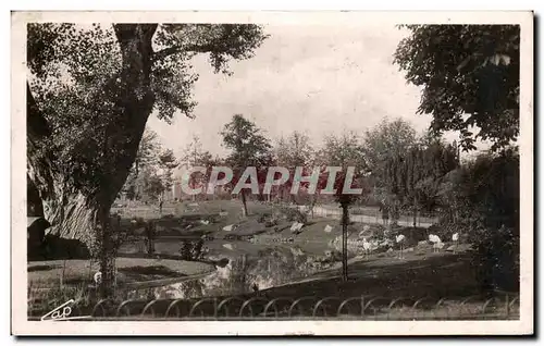 Cartes postales Vichy Les Parcs et le nouveau bassin des cygnes