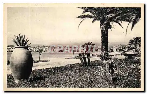 Cartes postales Cannes Vue Prise Des Nouveaux Jardins