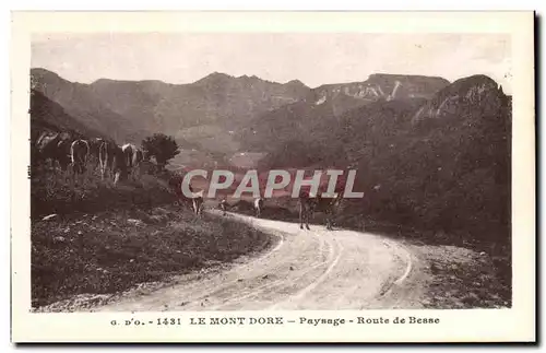 Cartes postales Le Mont Dore Paysage Route de Besse Vaches