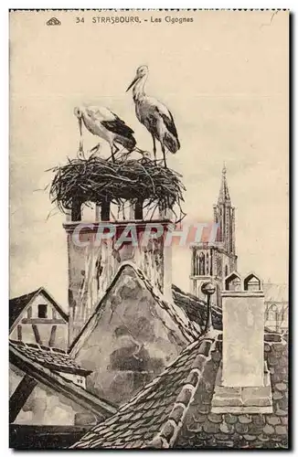 Cartes postales Strasbourg Les Cigognes