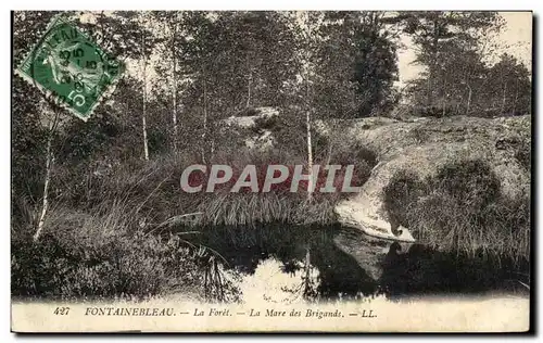 Ansichtskarte AK Fontainebleau La Foret La Mare Des Brigands