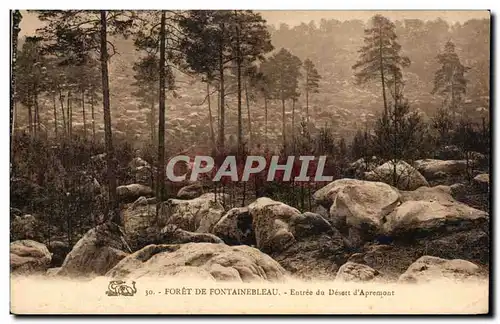 Ansichtskarte AK Foret De Fontainebleau Entree Du Desert d&#39Apremont