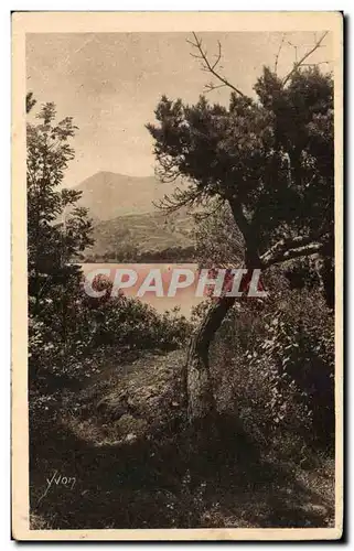 Cartes postales La Douce France Auvergne Environs Du Mont Dore Le Lac Chambon