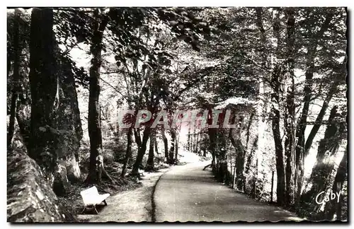 Cartes postales moderne Station Thermale Bagnoles De l&#39Orne l&#39Allee du Dante