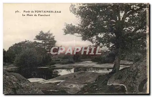 Cartes postales Foret de Fontainebleau La Mare de Franchard