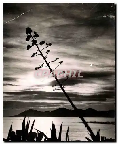 Cartes postales La Cote d'Azur Cannes Coucher de Soleil dans l'Esterel