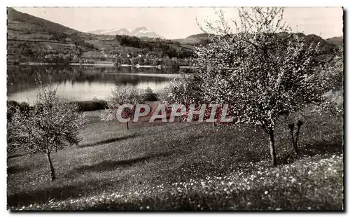 Cartes postales Le lac D&#39Aiguebelette a Saint Albon de Montbel dans le fond les Montages de chartreuse