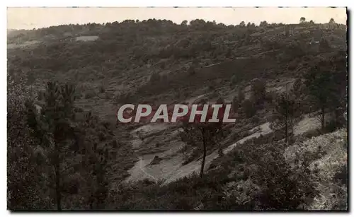 Moderne Karte Saint Leanard Des Bois Vue sur la Bruyere