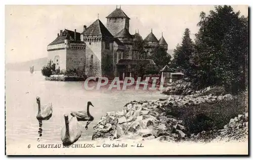 Ansichtskarte AK Chateau de Chillon Cote sud Est Cygnes