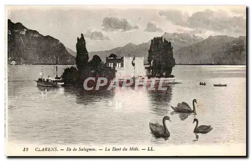 Cartes postales Clarens Ile de Salagnon La Dent du Midi Cygnes