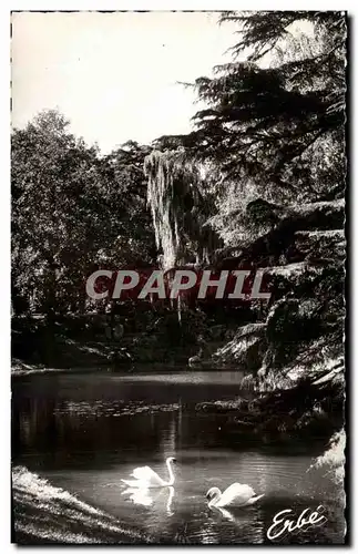 Ansichtskarte AK Nantes Jardin Des Plantes Cygnes