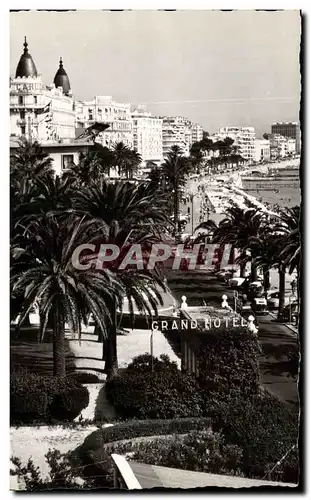 Cartes postales moderne la Cote D&#39Azur Cannes Les Hotels Vue generale de la Croisette