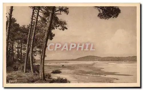 Cartes postales L'etang d'Hossegor Cote d'Argent Gascogne