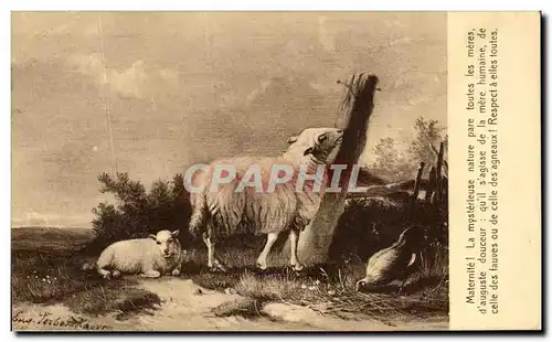 Cartes postales Maternite La Mysterieuse Nature Moutons