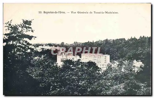 Cartes postales Bagnoles De L&#39Orne Vue Generale De Tesse La Madeleine