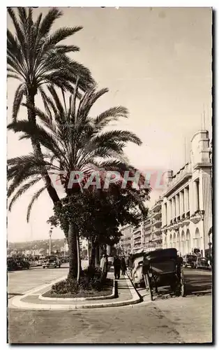 Cartes postales Nice Palmiers Sur La Promenade Des Anglais