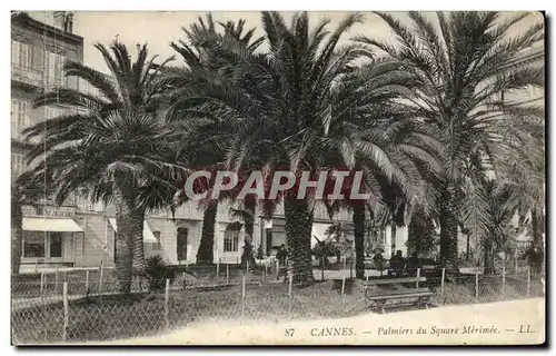 Cartes postales Cannes Palmiers Du Square Merimee