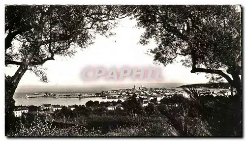 Cartes postales La Cite D&#39azur Antibes Vue Generale