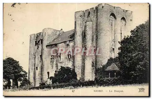 Cartes postales Niort Le Donjon