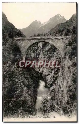 Cartes postales Saint Sauveur Le Pont Napoleon