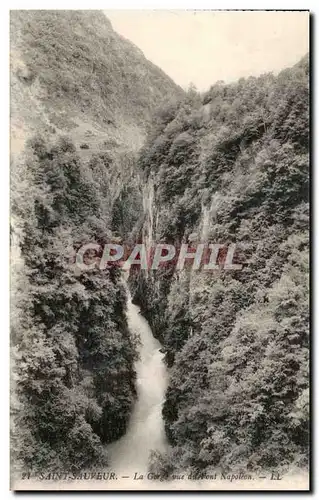 Cartes postales Saint Sauveur La Gorge vue du Pont Napoleon