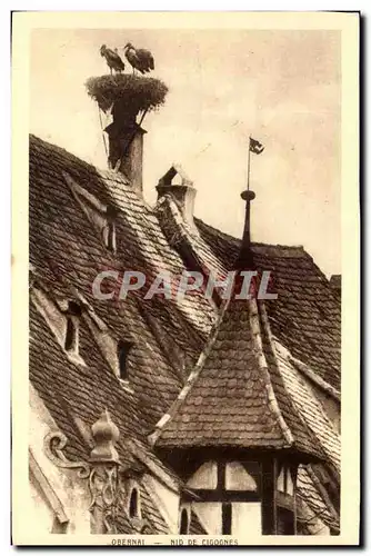 Cartes postales Obernai Nid De Cigognes