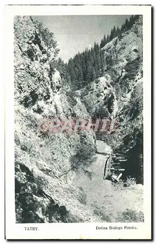 Cartes postales Tatry Dolina Bitago Potoka Pologne