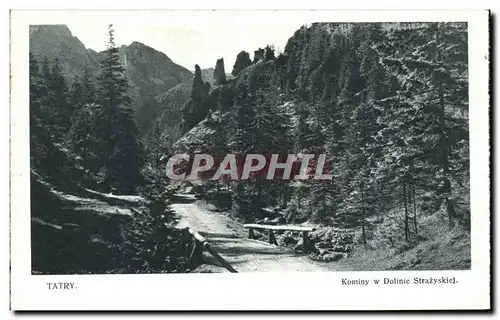 Cartes postales Tatry Kominy w Dolinie Strazyskiel Pologne