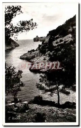 Cartes postales Cassis Sur Mer Calanque de port Pin