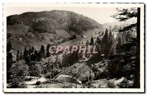 Cartes postales Les Rousses Vue Sur la Roche Blanche Et la Foret du Rizoux