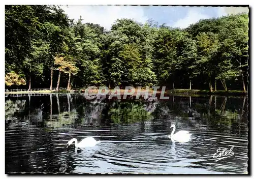 Ansichtskarte AK Le Pin La Garenne Et Le Gue De La CHaine la foret de Belleme Cygnes